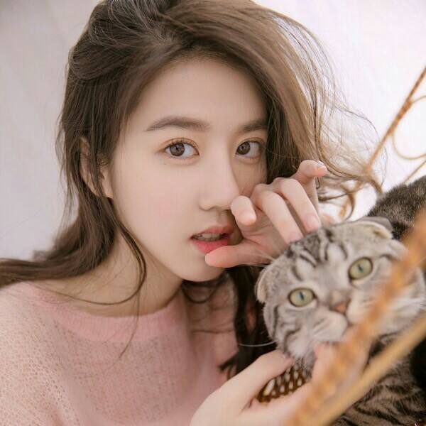 加拿大28下载手机版